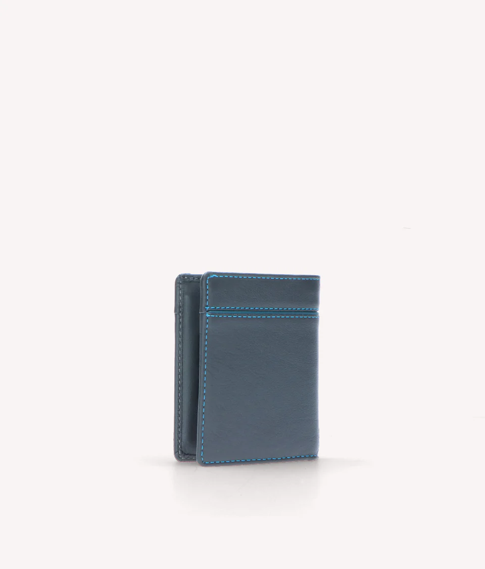 Egretta 7567 - immagine 4